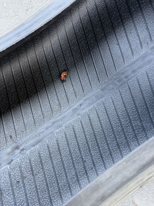 Шины зимние липучка 285/50/20