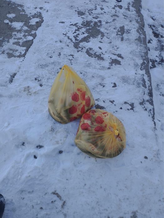 Продается рыба свежая