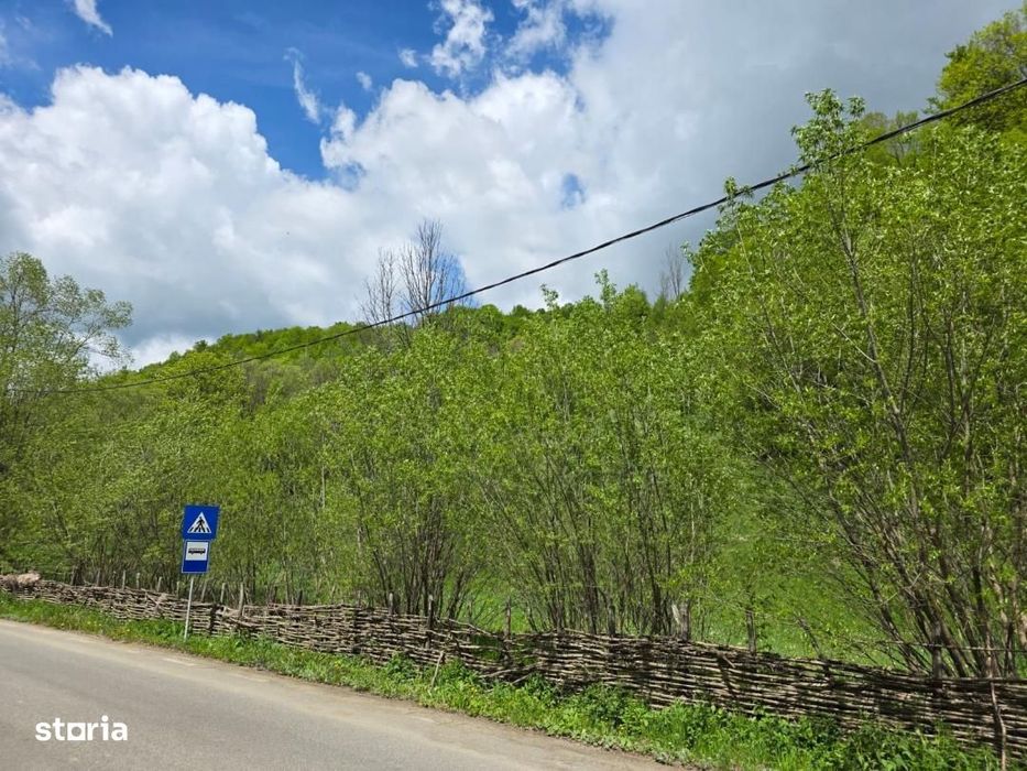 Teren extravilan in suprafata de 3.100 mp. situat pe Transapuseana-Pon