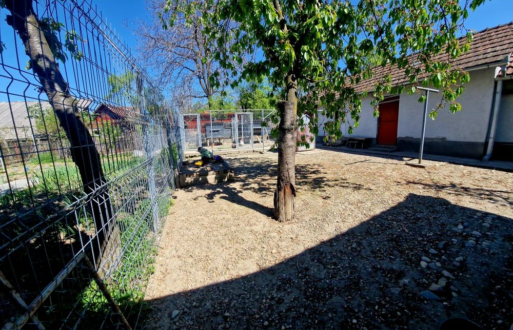 Vand casa locuibila Finteusu Mare 8 ari de teren