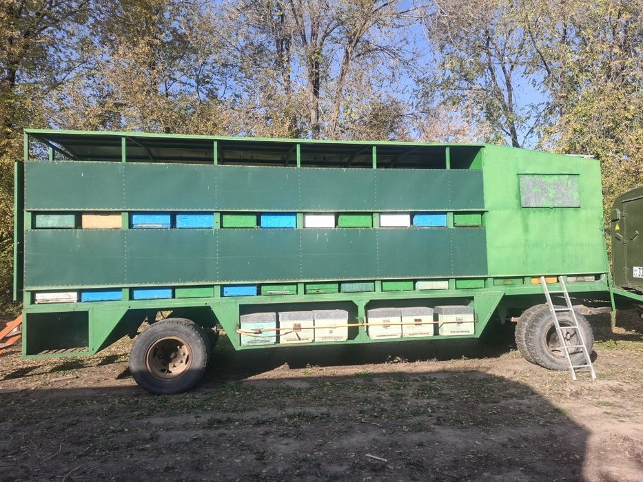 Пчелопавильон...