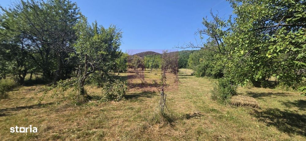 Teren intravilan de vanzare 3375 mp in Brebu