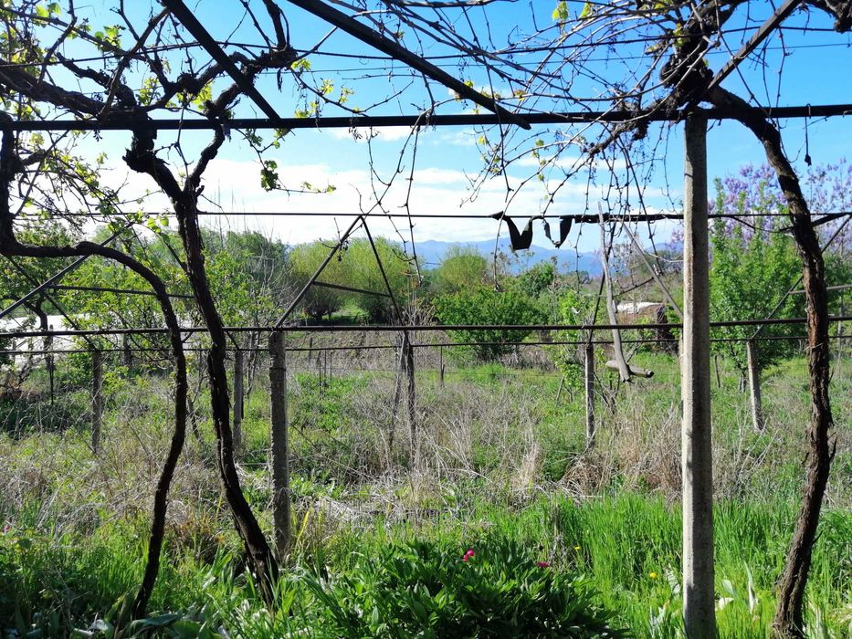 Продава се Къща в с. Говедаре, Област Пазарджик - 140 кв.м за 315 €/кв.м - Снимка #3