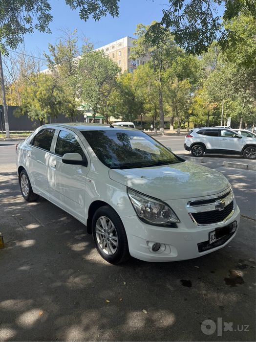 Cobalt AT 2022y. Gazi bor