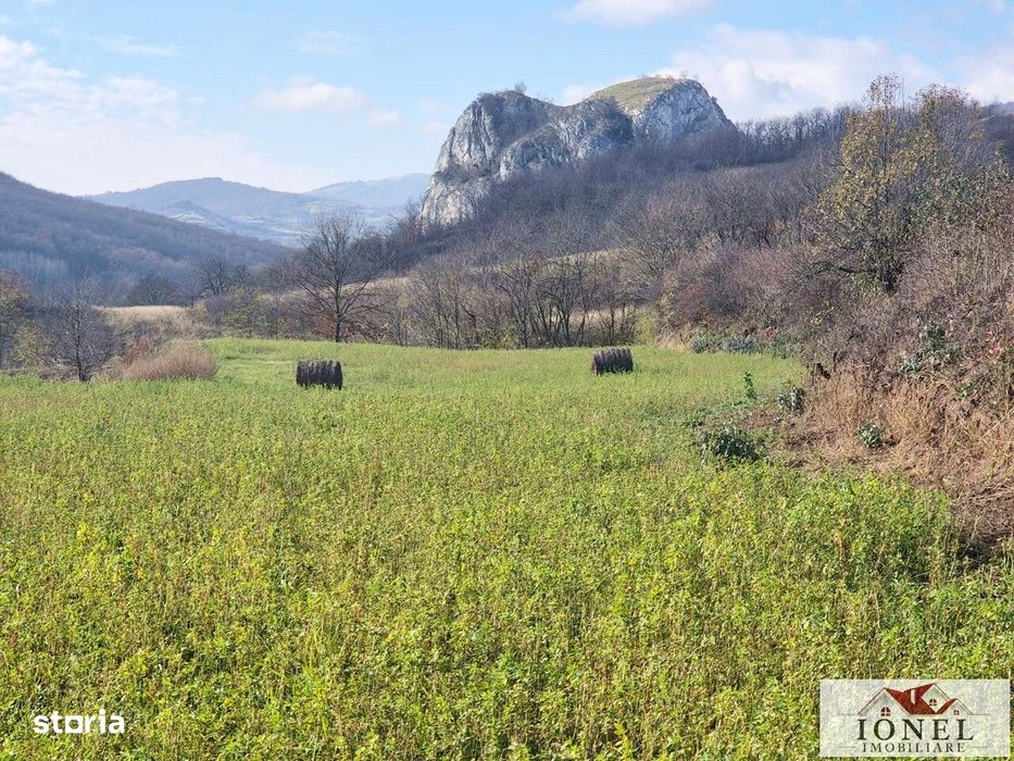 Vanzare teren in Ampoita