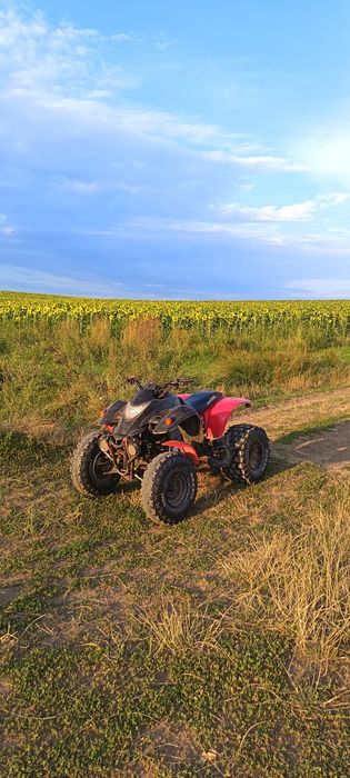 Vand sau schimb cu ceva mai mare(diferenta de la mine) ATV SMC barossa 250cc- 2 cilindri manual