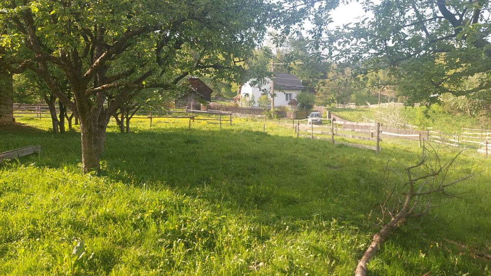 Proprietar: Casă + 3.300 mp teren Deia | Comision 0%