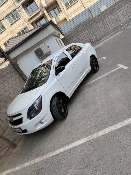 COBALT 2025 midnight