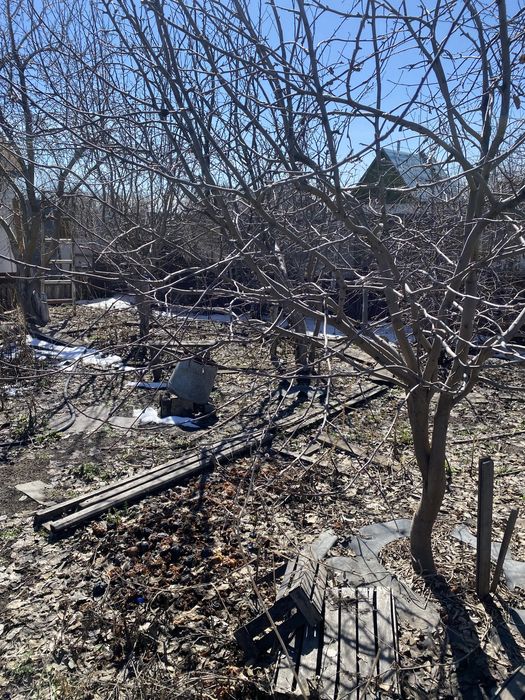 Продам дача в черомошке