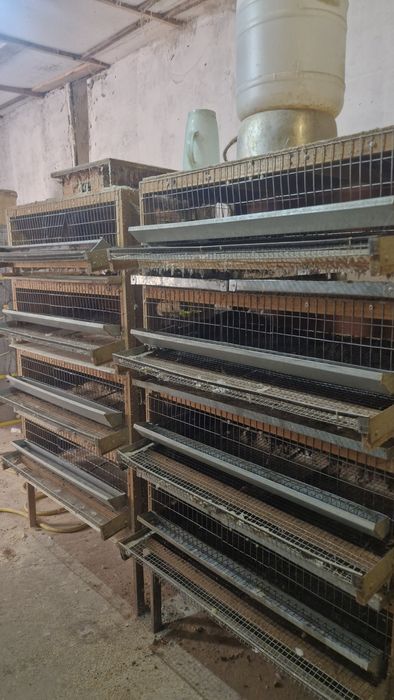Продам клетки для перепелов