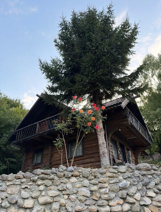 Proprietar vând căbănuță Râșnov