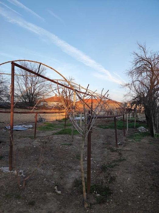 продавам оранжерия