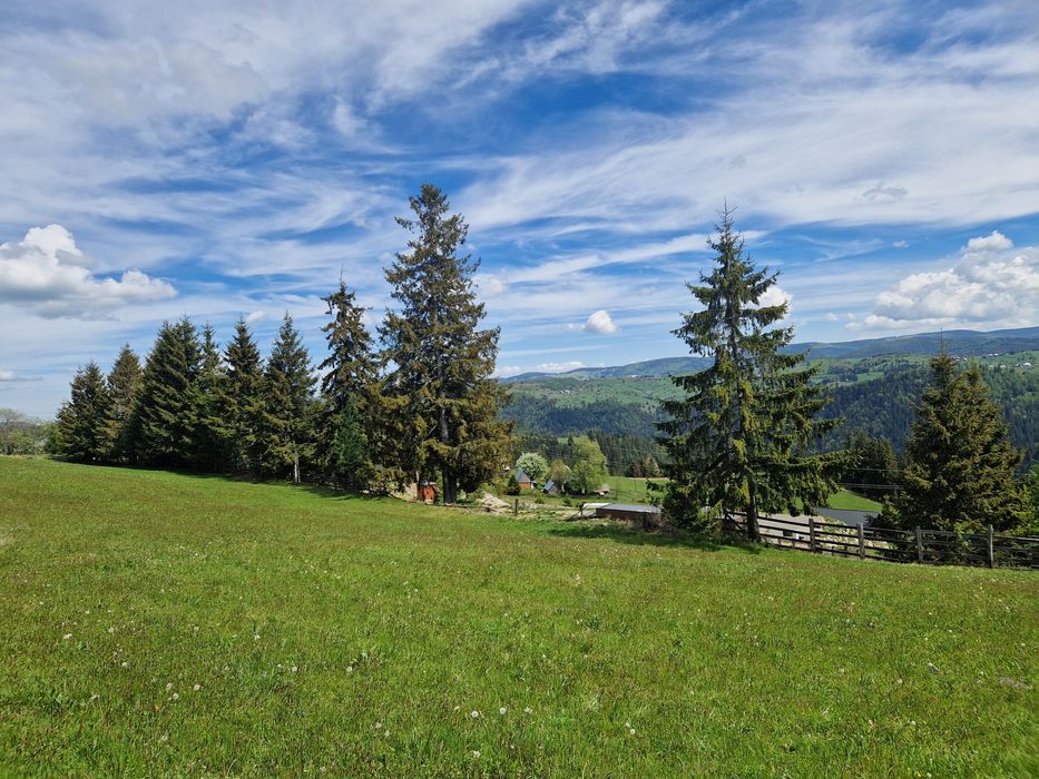 Teren  de vânzare