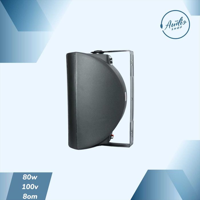 Пассивная настенная колонкa для фоновой музыки 80wat