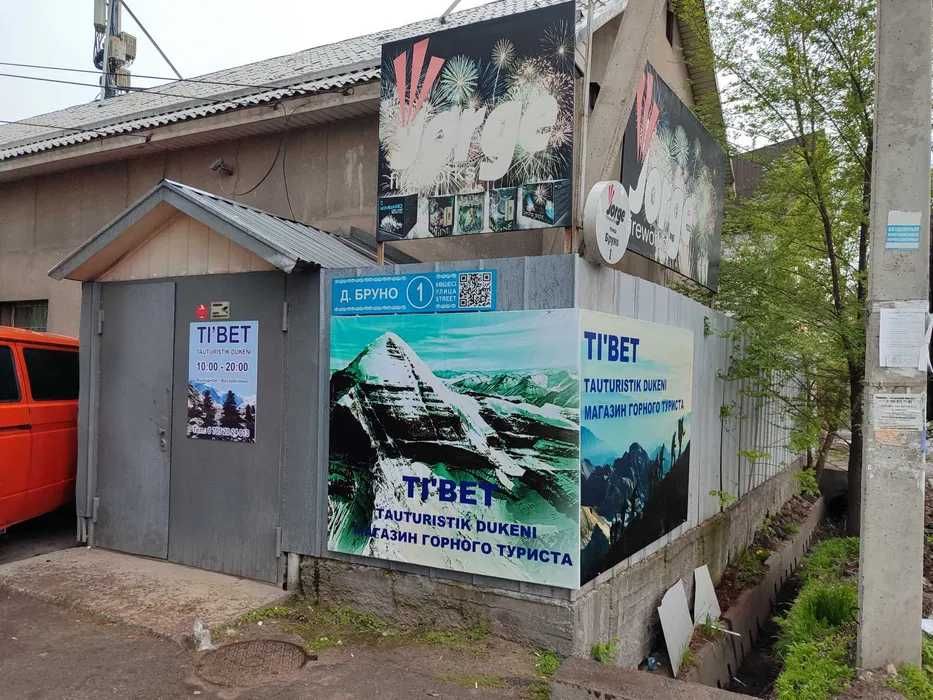 Продаются кошки с котятами