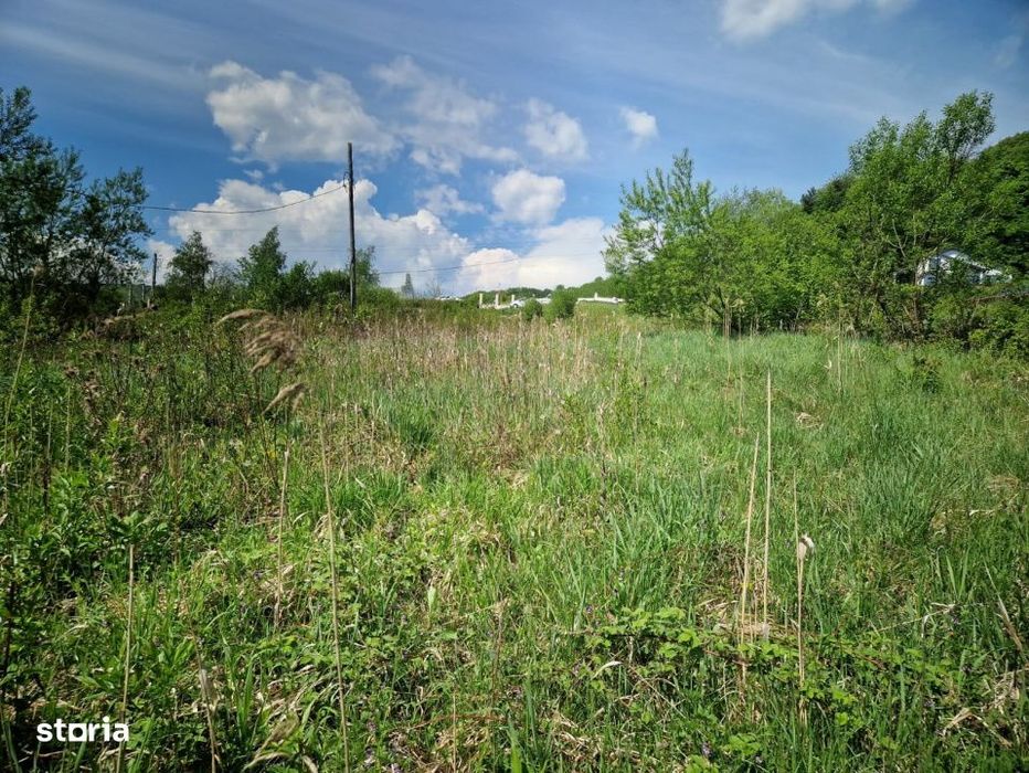 Teren autorizat duplex premium in Feleacu - Natura, asfalt, utilitati