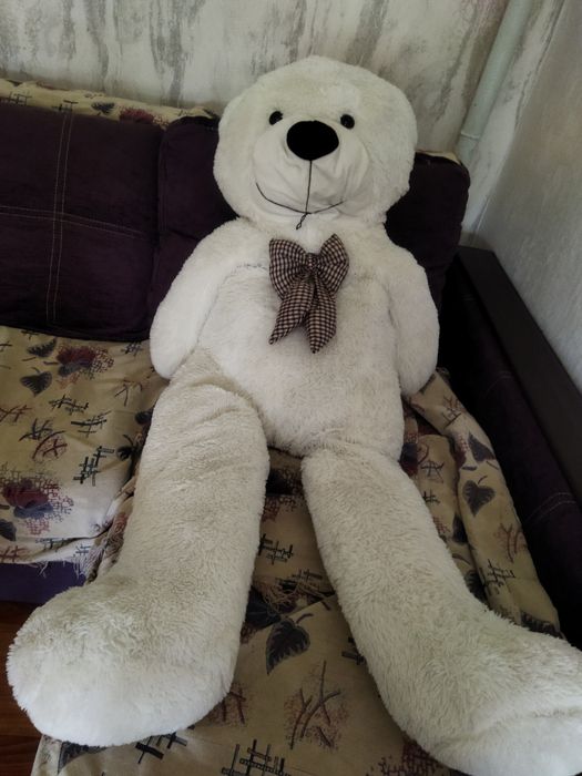 Продам медвежонка