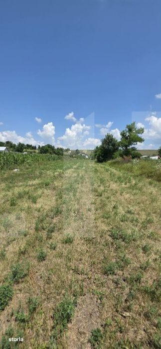 Teren intravilan, 1477mp , Loc. Balusenii Noi - Botosani