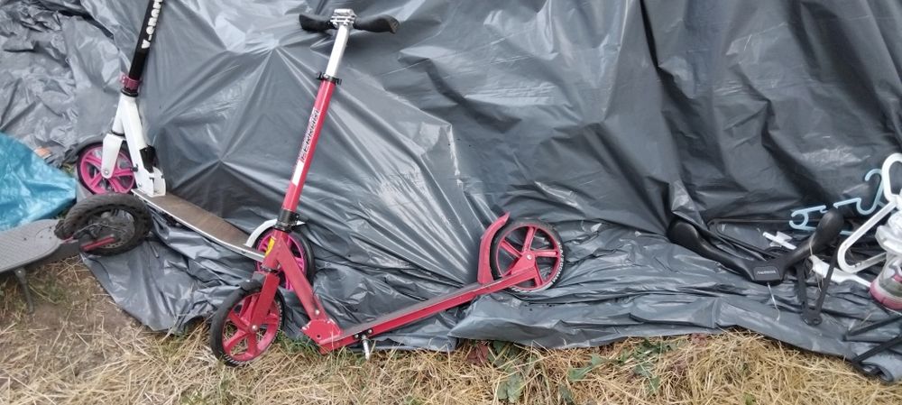 Техника и най различни моркови нища