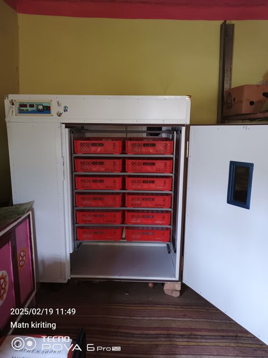 Inkubatir. EKBOKIS. Aftomat 1056