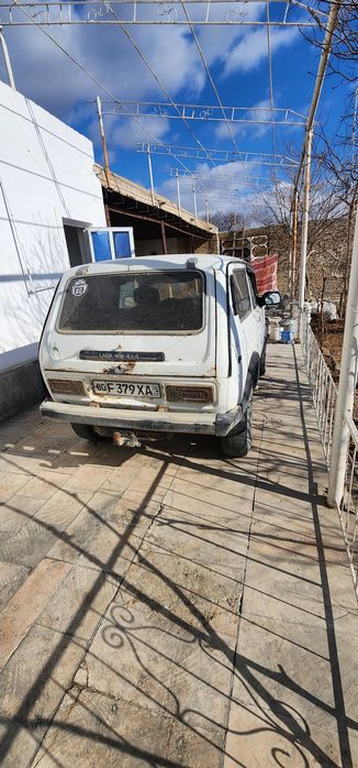 Niva sotiladi. Holati ideal