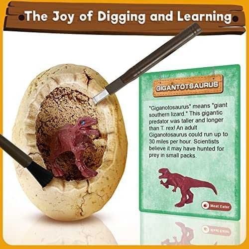 Набор яйца динозавров из США