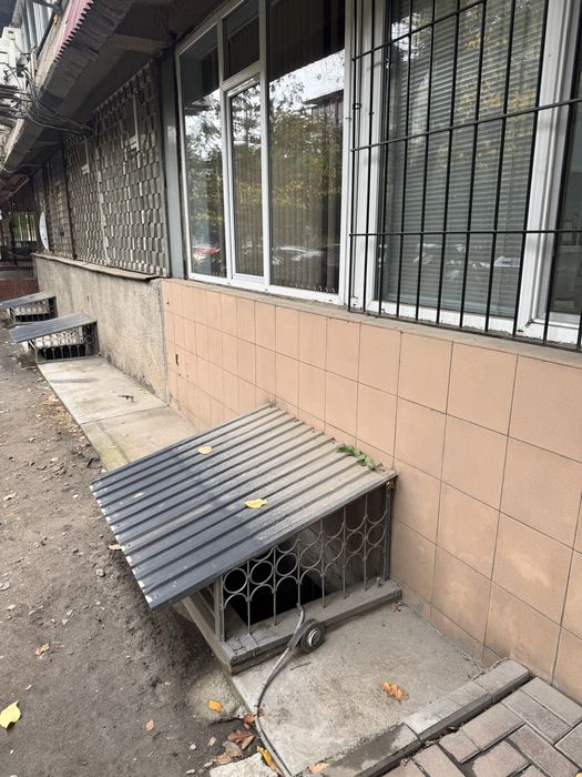 Котику нужен дом