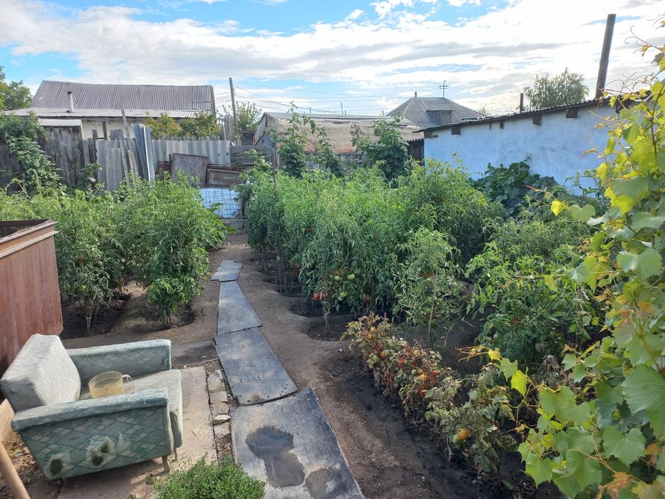 Дом. Два дома, два участка.