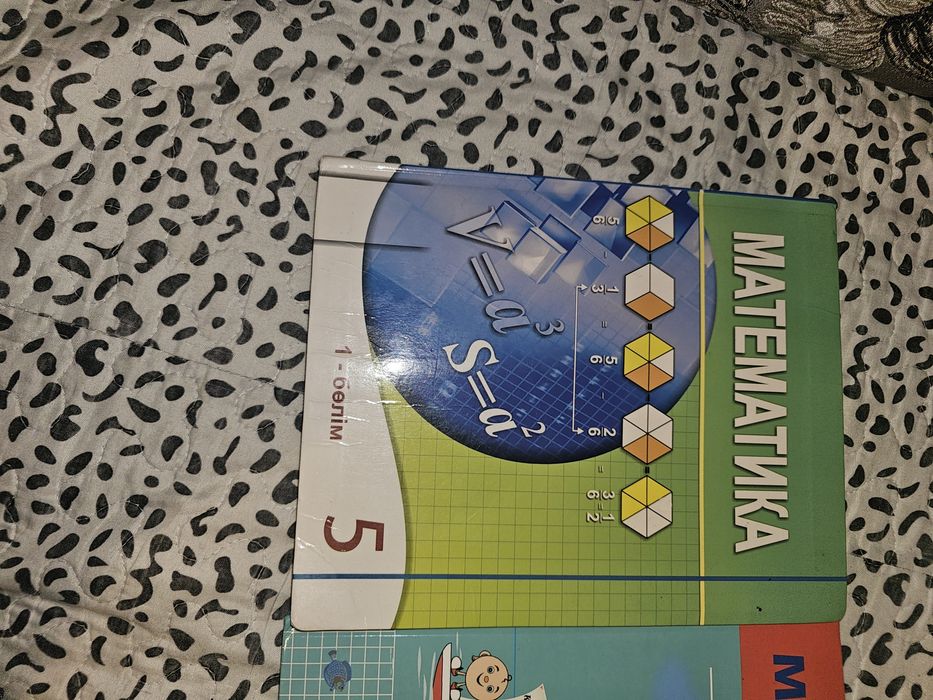 Математика 5 класс