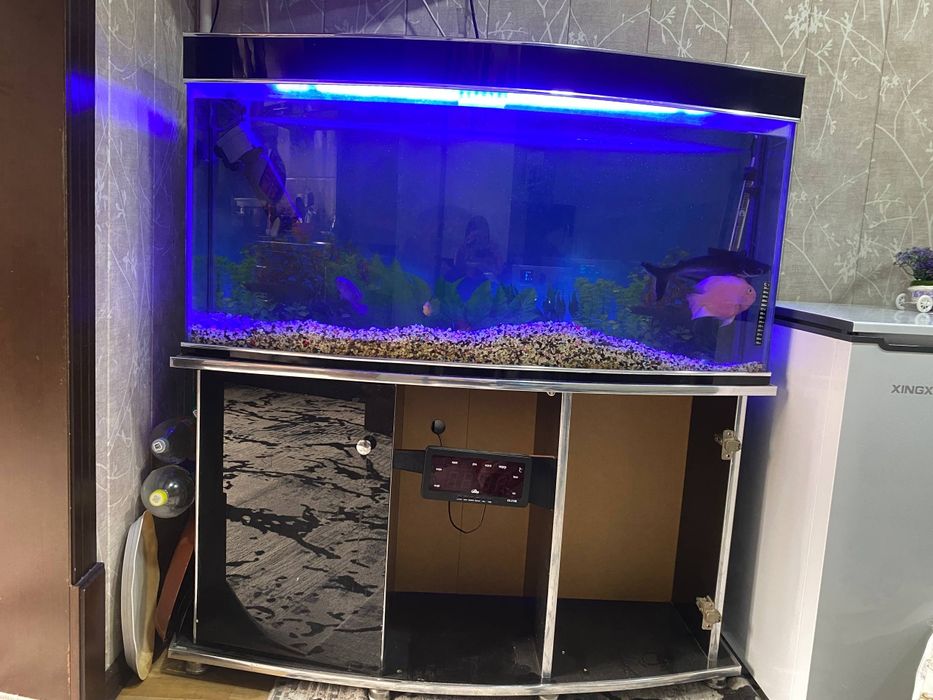 Акварим и рыба продаётся