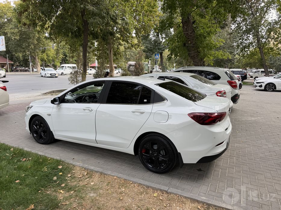 Onix primer 2 kraska toza mers sideniya