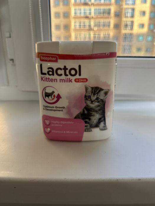специальная смесь для котят