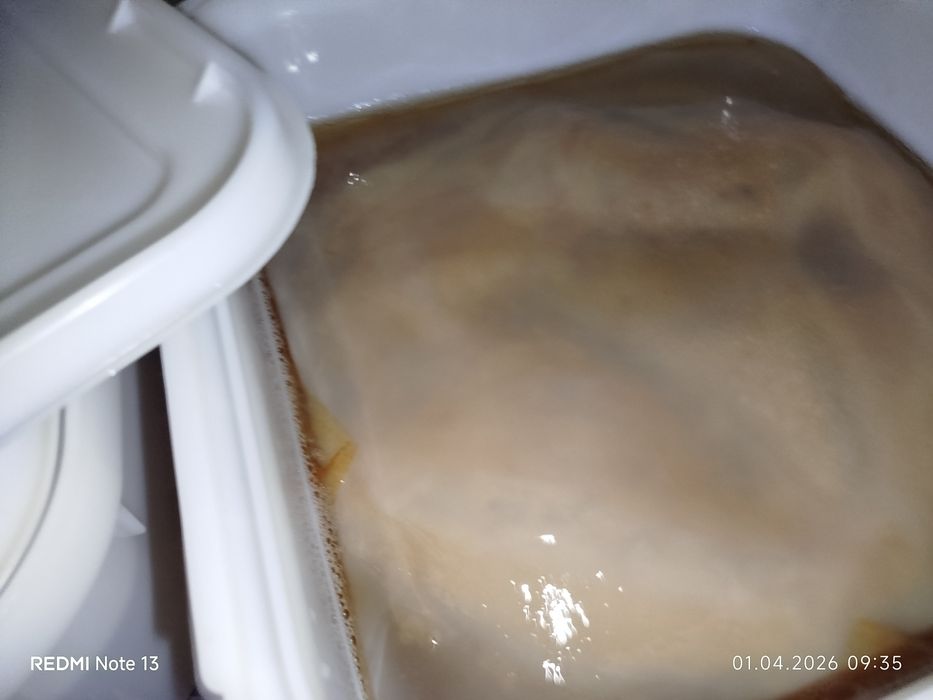 Чайный гриб комбуча