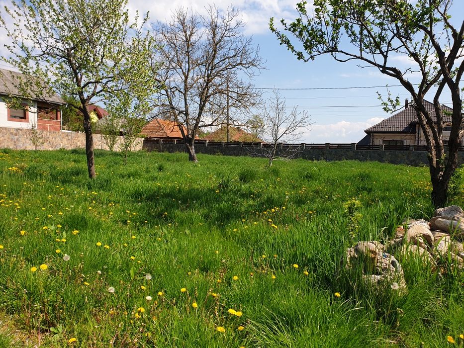 Teren împrejmuit cu gard placat cu piatră naturală  11 arii la