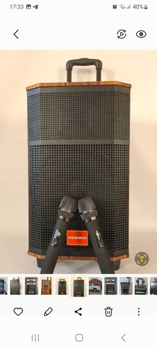 Аренда караоке колонки