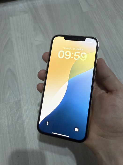 12 про мах 256гб