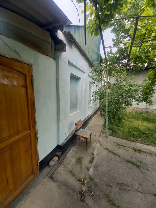 Сирдарйо Шахар Сентирдан бир куча кирганда Дасаф ку'ча