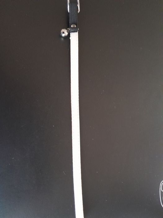 Lesa retractabilă 5 m, ham (bretele), bol și  zgardă cu clopoțel