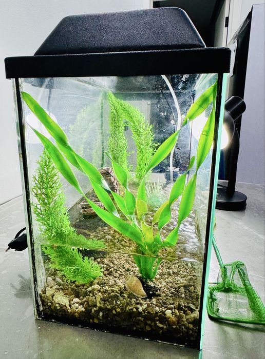 Аквариум 38х31х21 для рыб