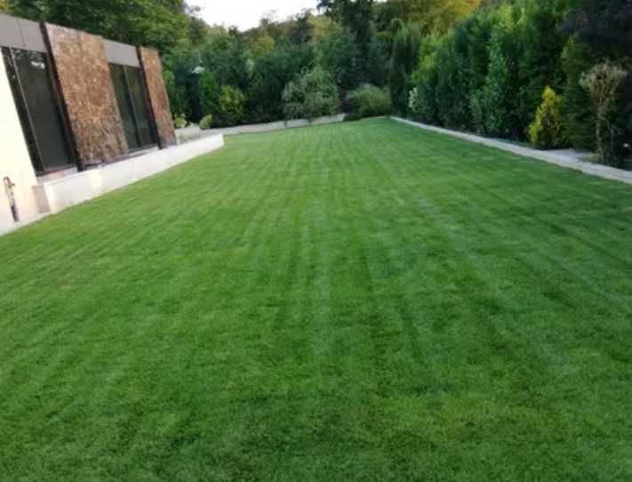 Gazon Rulou Natural cu Rezistență Sport și Aspect Rustic
