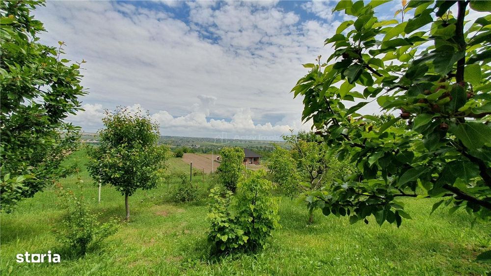 Teren intravilan - 2400 mp - 3 cabane din lemn modulare - Lisaura