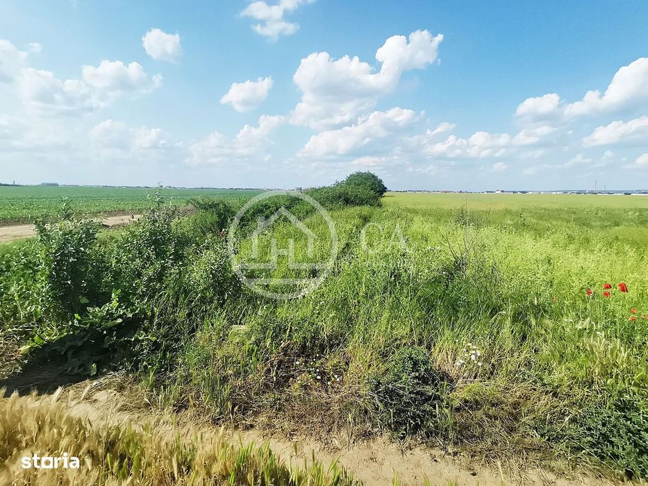 Teren intravilan de vânzare in Santandrei, Bihor