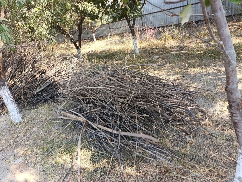 Утин бор нонвойлар учун,богланган холда