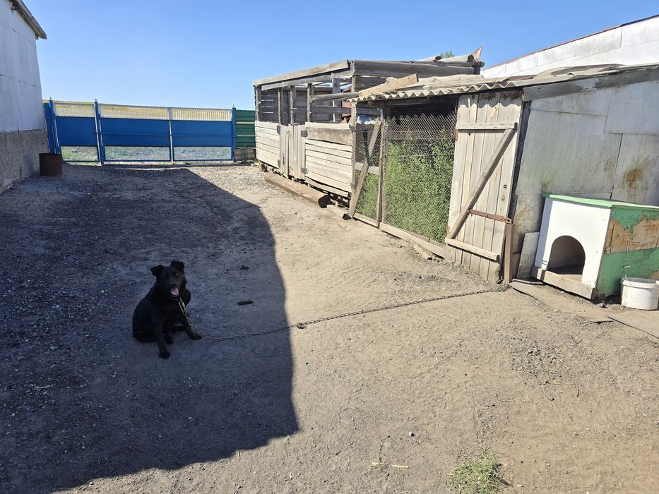 Продам  дом за городом