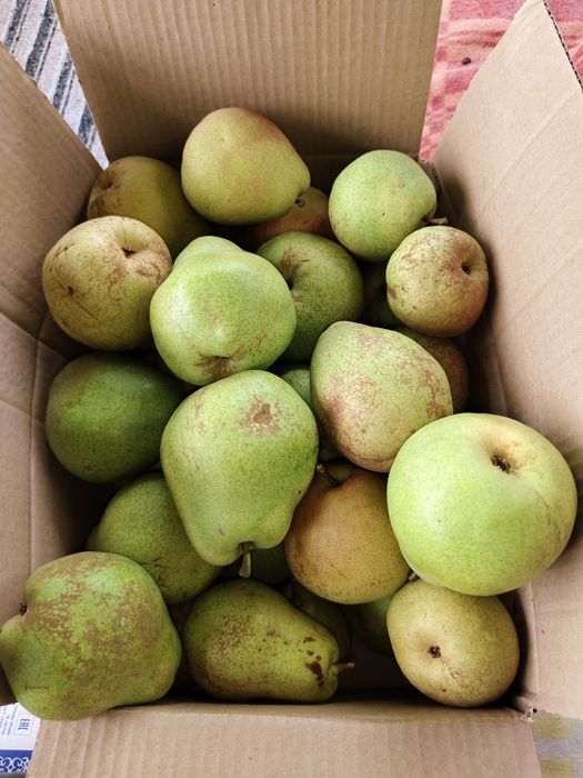 Продам дачу с/ о Геолог