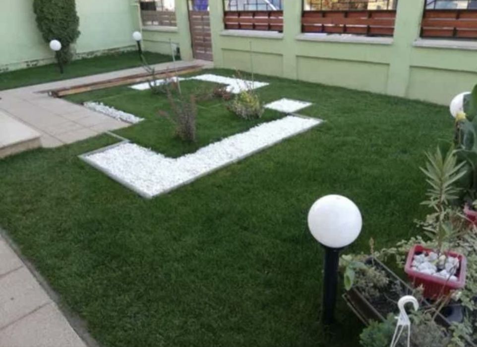 Vând gazon rulou și montez am și plante ornamentale