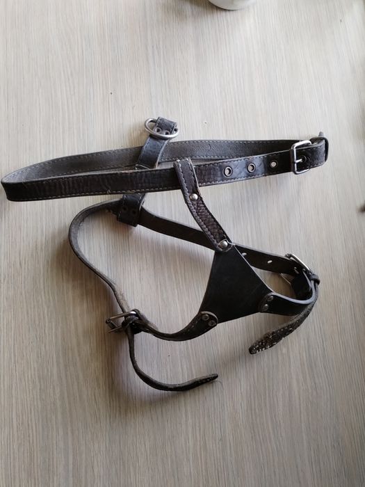 Шлейка и ошейник 50 см длина для собак