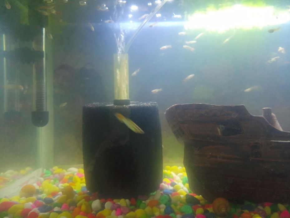 Новый уютный аквариум