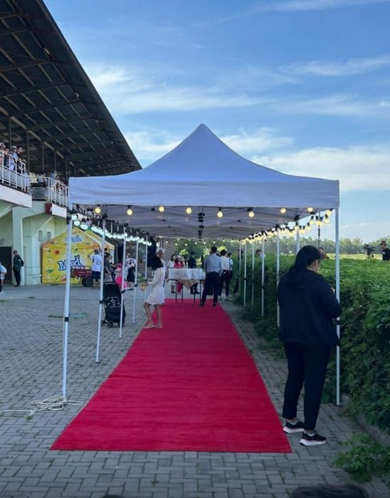 Шатер бесплатная доставка 999