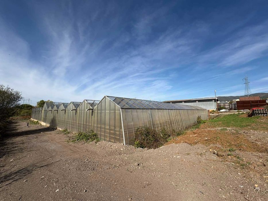 Дава се под наем Земеделски имот в Бухово -  кв.м за 629.34 € - Снимка #6